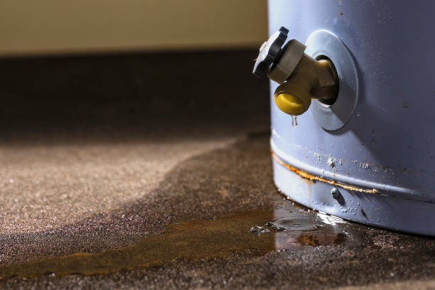 Best Flooded house restoration  in Shawnee, OK