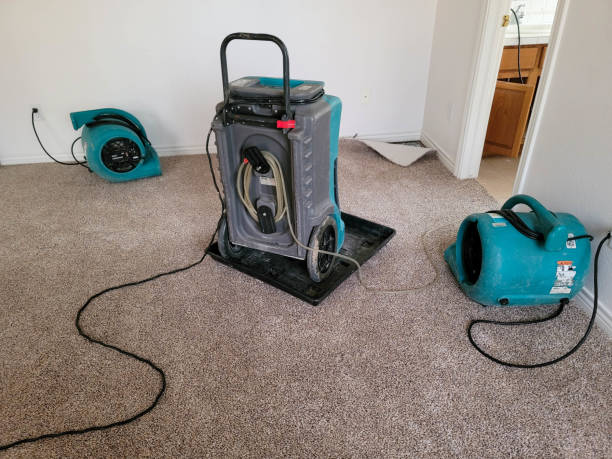Best Basement water damage restoration  in Shawnee, OK
