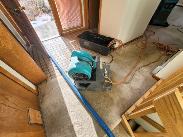 Best Water damage restoration near me  in Shawnee, OK