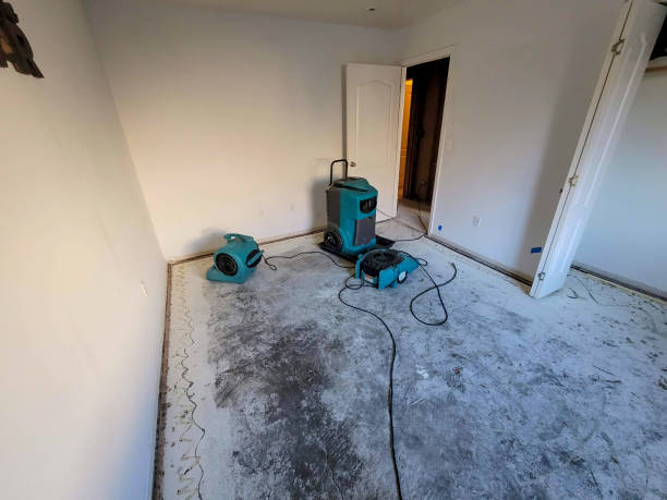 Best Ceiling water damage repair  in Shawnee, OK