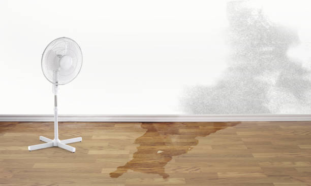 Best Emergency water damage restoration  in Shawnee, OK