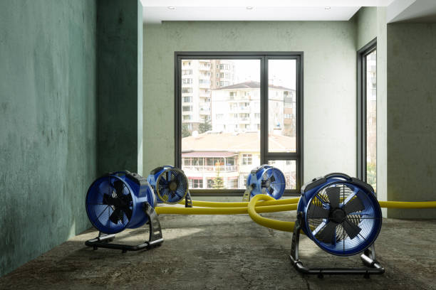 Best Flood restoration services  in Shawnee, OK